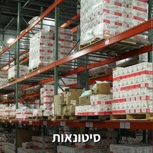 סיטונאות